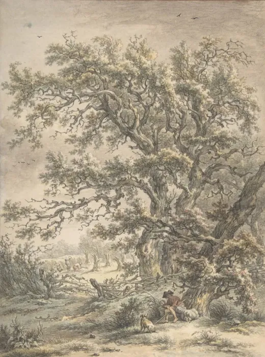 Framed Print : A Man Resting Under a Tree, n. d Creator: Egbert van Drielst Framed Print : A Man Resting Under a Tree, n. d Creator: Egbert van Drielst