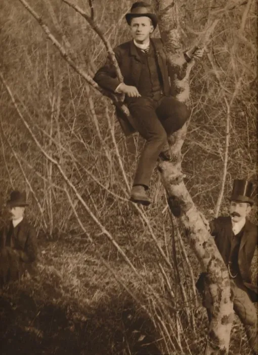 Framed Print : Man sat in a tree, 1937. Artist: Louis Guichard Framed Print : Man sat in a tree, 1937. Artist: Louis Guichard