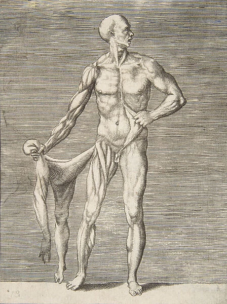 Man seen from the Front, holding the Skin of his right Arm and Leg in his right Ha