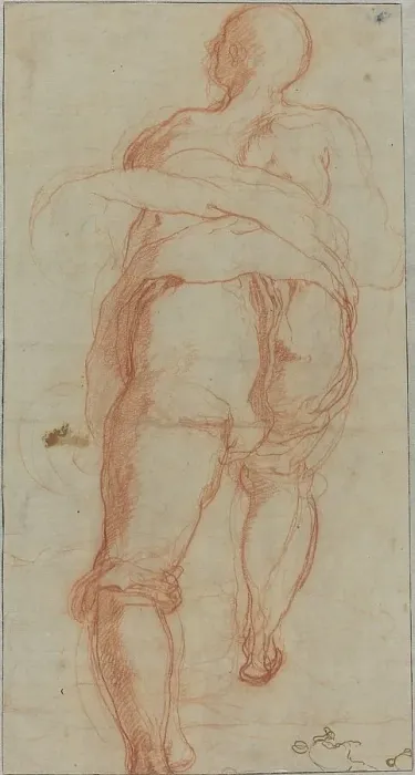 Framed Print : A Man Seen from Behind [verso], c. 1555. Creator: Taddeo Zuccaro