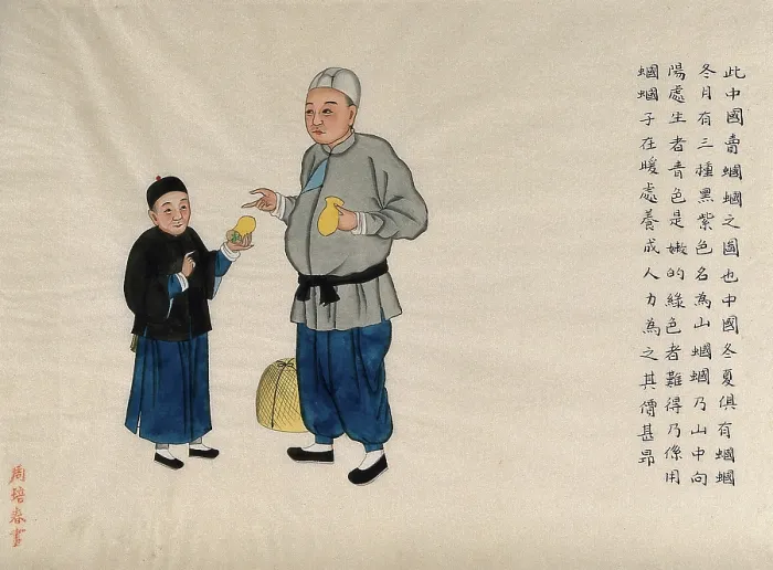 Framed Print : A man selling long-horned grasshoppers (Conocephalous longipennis), with a boy customer, 1890. Creator: Pei Qun Zhou Framed Print : A man selling long-horned grasshoppers (Conocephalous longipennis), with a boy customer, 1890. Creator: Pei Qun Zhou