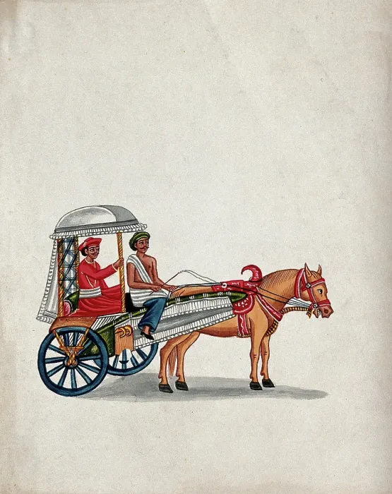 Framed Print : A man sitting in a small carriage pulled by a horse, (between 1800 and 1899?). Creator: Unknown Framed Print : A man sitting in a small carriage pulled by a horse, (between 1800 and 1899?). Creator: Unknown
