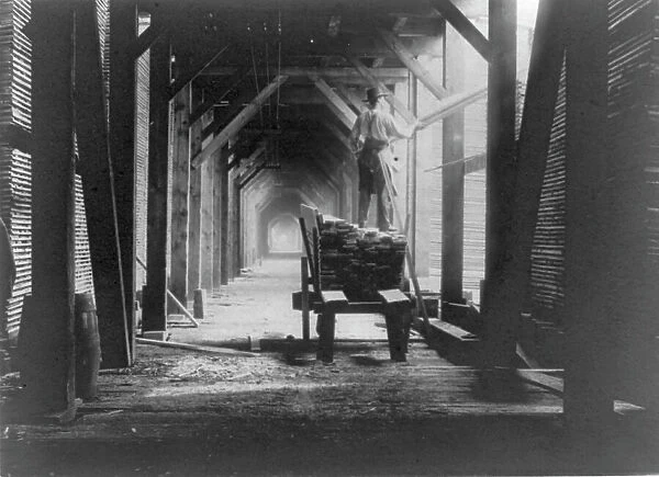 Man standing on boards on cart in sawmill and stacking the boards, Duluth vicinity, Minnesota, 1903. Creator: Frances Benjamin Johnston