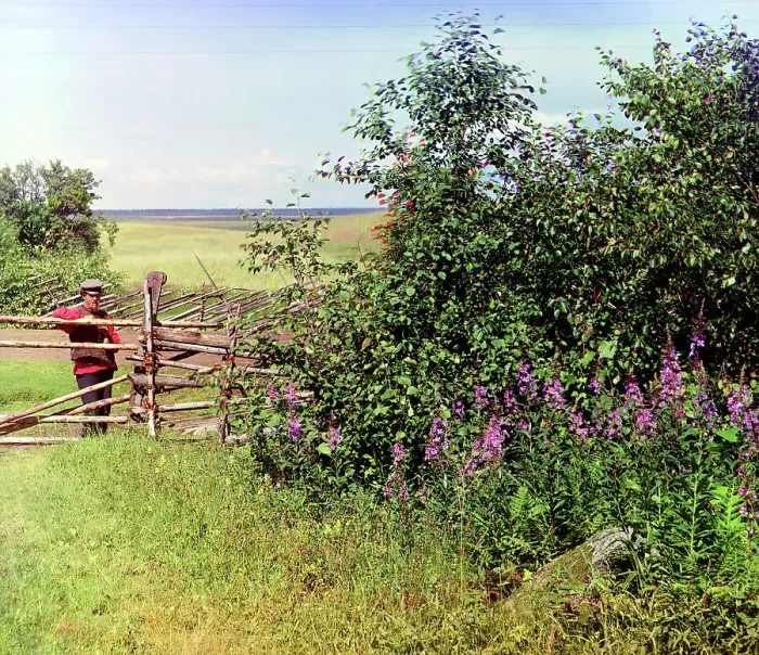 Framed Print : Man standing near fence and bushes, 1909. Creator: Sergey Mikhaylovich Prokudin-Gorsky Framed Print : Man standing near fence and bushes, 1909. Creator: Sergey Mikhaylovich Prokudin-Gorsky