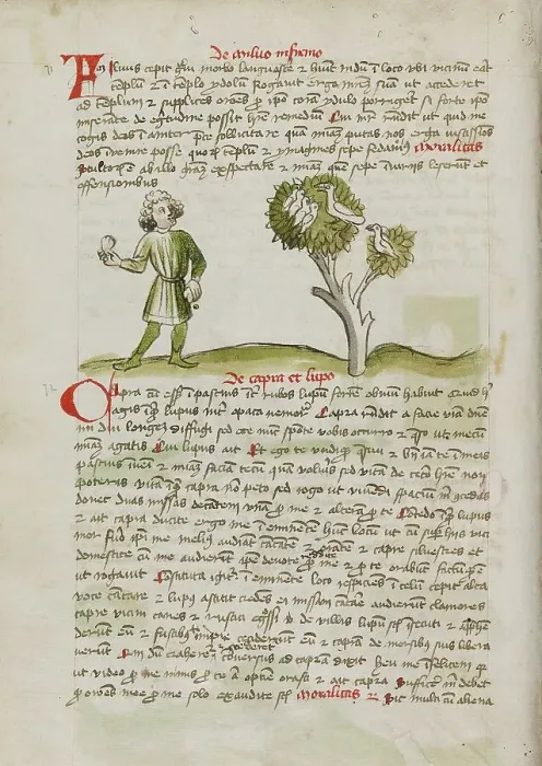 Framed Print : A Man Throwing at Birds Perched in a Tree; Fables, third quarter of 15th century. Creator: Unknown Framed Print : A Man Throwing at Birds Perched in a Tree; Fables, third quarter of 15th century. Creator: Unknown