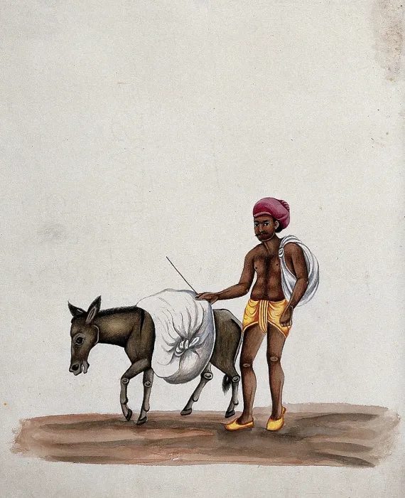Framed Print : A man walking along with a donkey carrying a heavy load, (between 1800 and 1899?). Creator: Unknown Framed Print : A man walking along with a donkey carrying a heavy load, (between 1800 and 1899?). Creator: Unknown