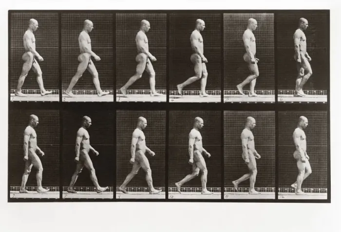 Framed Print : Man walking, Plate 6 from Animal Locomotion, 1887 (photograph) Framed Print : Man walking, Plate 6 from Animal Locomotion, 1887 (photograph)