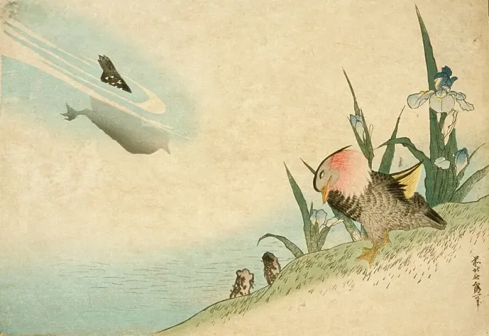 Framed Print : Mandarin Ducks, 19th century. Creator: Hokusai Framed Print : Mandarin Ducks, 19th century. Creator: Hokusai