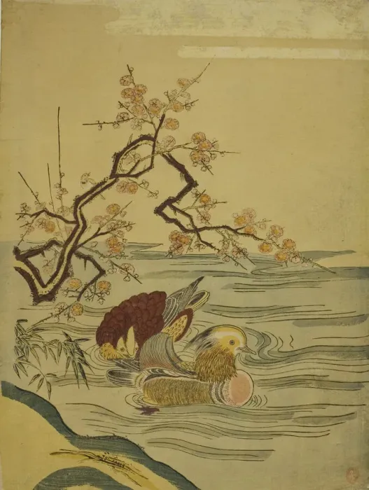 Framed Print : Mandarin Ducks Swimming under Plum Branch, c. 1764 / 75. Creator: Isoda Koryusai Framed Print : Mandarin Ducks Swimming under Plum Branch, c. 1764 / 75. Creator: Isoda Koryusai