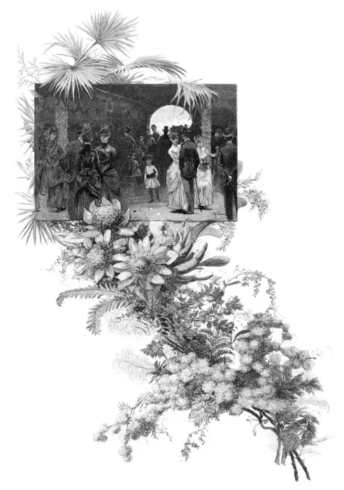 Framed Print : Manly wild flower show, Sydney, New South Wales, Australia, 1886 Framed Print : Manly wild flower show, Sydney, New South Wales, Australia, 1886
