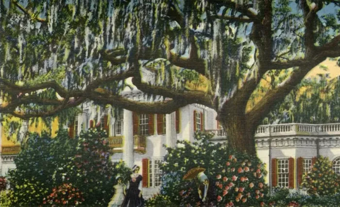 Framed Print : A Mansion in the Carolinas, 1942. Creator: Unknown Framed Print : A Mansion in the Carolinas, 1942. Creator: Unknown