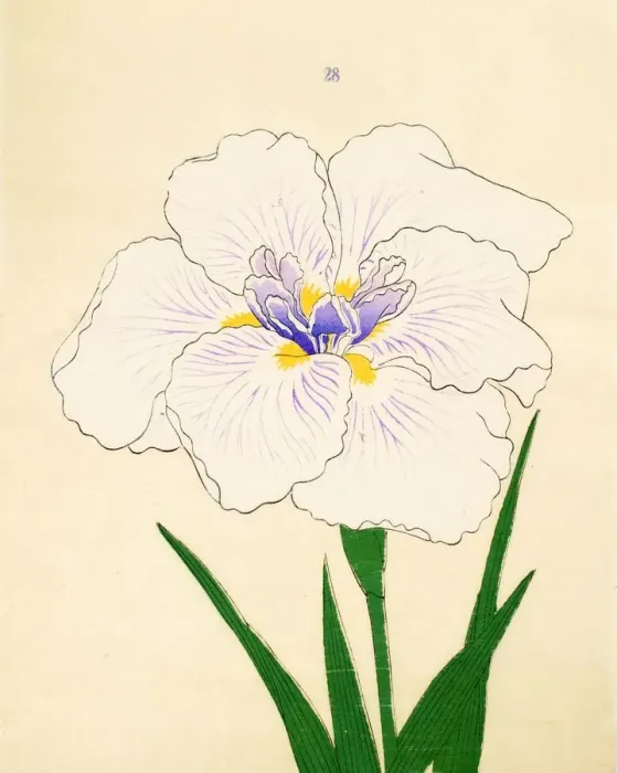 Framed Print : Manu-Zuru, No. 28, 1890, (colour woodblock print) Framed Print : Manu-Zuru, No. 28, 1890, (colour woodblock print)