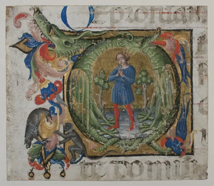 Framed Print : Manuscript Illumination with Initial Q, from a Choir Book, first half 15th century Framed Print : Manuscript Illumination with Initial Q, from a Choir Book, first half 15th century