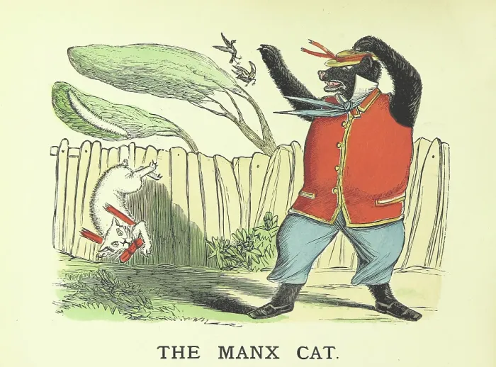 Framed Print : The Manx Cat, 1883. Creator: Edward Voullaire Campbell Framed Print : The Manx Cat, 1883. Creator: Edward Voullaire Campbell