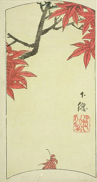 Maple Leaves in Shimosa Province (Shimosa, momiji), section of sheet no. 7 from the series... 1852. Creator: Ando Hiroshige