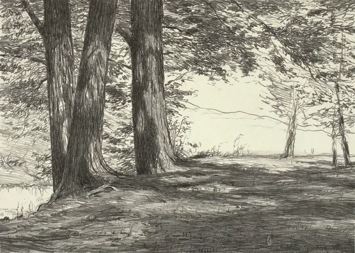 Framed Print : Three Maples, 1920. Creator: Bolton Coit Brown Framed Print : Three Maples, 1920. Creator: Bolton Coit Brown