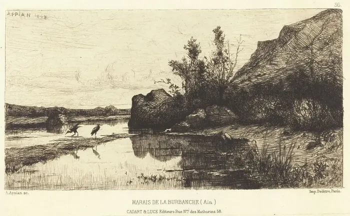 Framed Print : Marais de la Burbanche. Creator: Adolphe Appian Framed Print : Marais de la Burbanche. Creator: Adolphe Appian