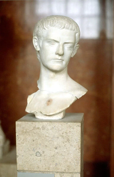 Marble bust of the Emperor Caligula