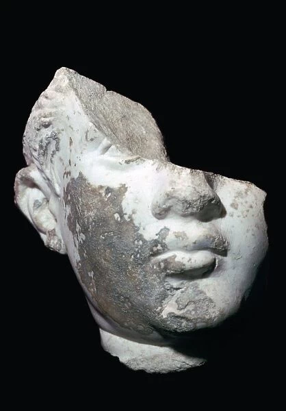Marble head of a youth