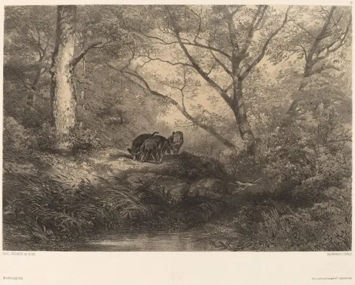 Framed Print : Marcassins. Creator: Karl Bodmer Framed Print : Marcassins. Creator: Karl Bodmer