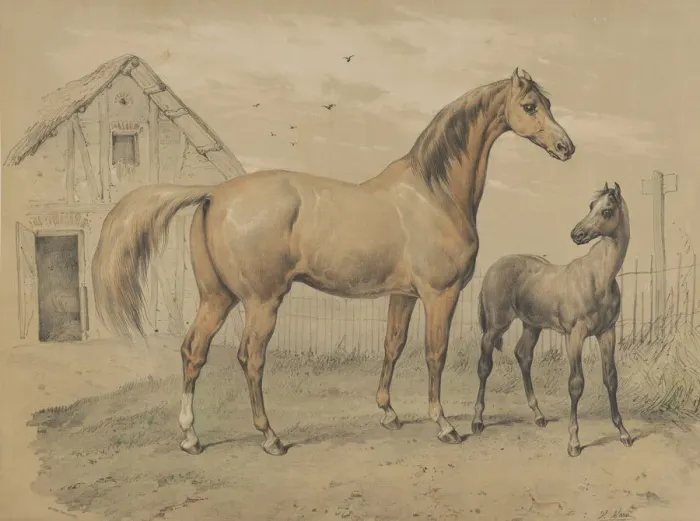 Framed Print : Mare and Foal, 19th century. Creator: Victor Adam Framed Print : Mare and Foal, 19th century. Creator: Victor Adam
