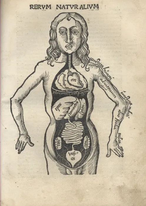 Framed Print : Margarita Philosophica. Anatomy, 1504. Artist: Reisch, Gregor (1467-1525) Framed Print : Margarita Philosophica. Anatomy, 1504. Artist: Reisch, Gregor (1467-1525)