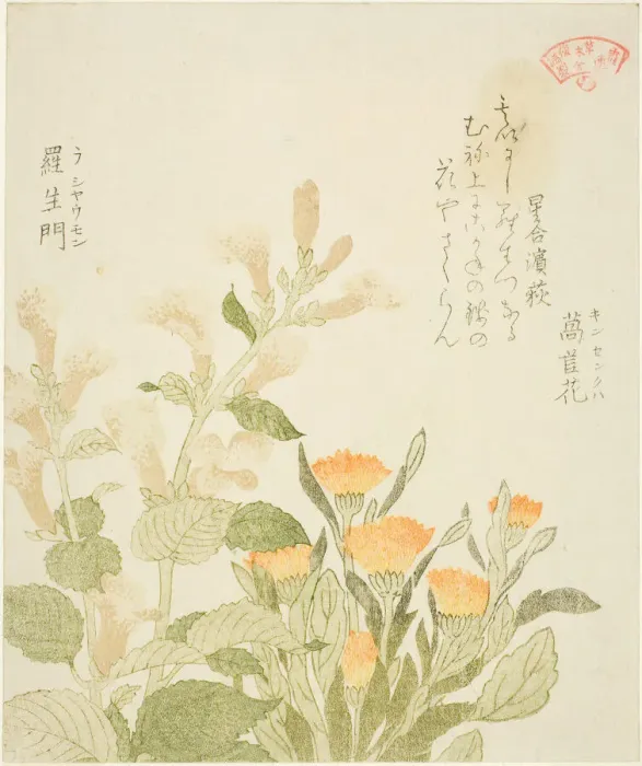 Framed Print : Marigold (Kinsenka) and Rashomon Flowers, from the series Collection of Plants for the... 1810s. Creator: Kubo Shunman Framed Print : Marigold (Kinsenka) and Rashomon Flowers, from the series Collection of Plants for the... 1810s. Creator: Kubo Shunman