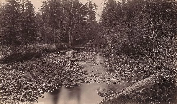 Marion River at Bassett's Camp, c. 1885. Creator: Seneca Ray Stoddard