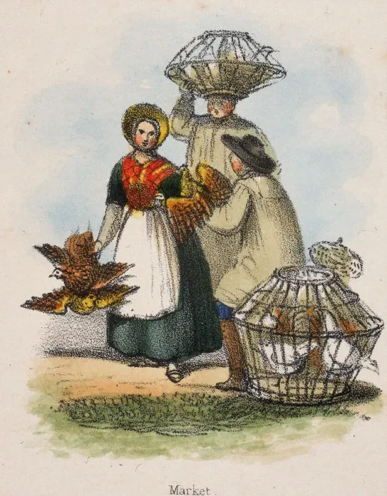 Framed Print : Market, c1845. Artist: Robert Kent Thomas Framed Print : Market, c1845. Artist: Robert Kent Thomas
