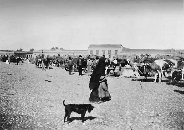 Framed Print : Market Day at Chillan, 1911 Framed Print : Market Day at Chillan, 1911