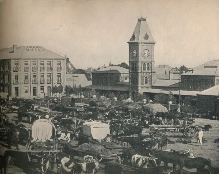 Framed Print : The Market, Kimberley, c1900. Creator: Unknown Framed Print : The Market, Kimberley, c1900. Creator: Unknown