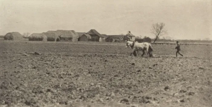 Framed Print : Marsh Farm in Early Spring, 1890-1891, printed 1893. Creator: Dr Peter Henry Emerson Framed Print : Marsh Farm in Early Spring, 1890-1891, printed 1893. Creator: Dr Peter Henry Emerson