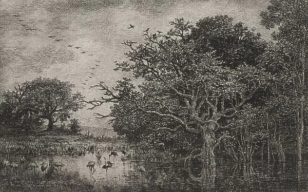 The Marsh with Storks, c. 1851. Creator: Charles Francois Daubigny (French, 1817-1878)