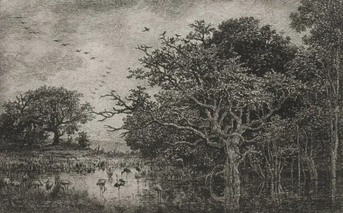 Framed Print : The Marsh with Storks, c. 1851. Creator: Charles Francois Daubigny (French, 1817-1878) Framed Print : The Marsh with Storks, c. 1851. Creator: Charles Francois Daubigny (French, 1817-1878)