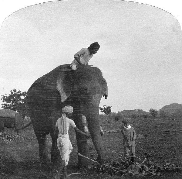 Master Ekbal feeding an elephant, India, 1900s