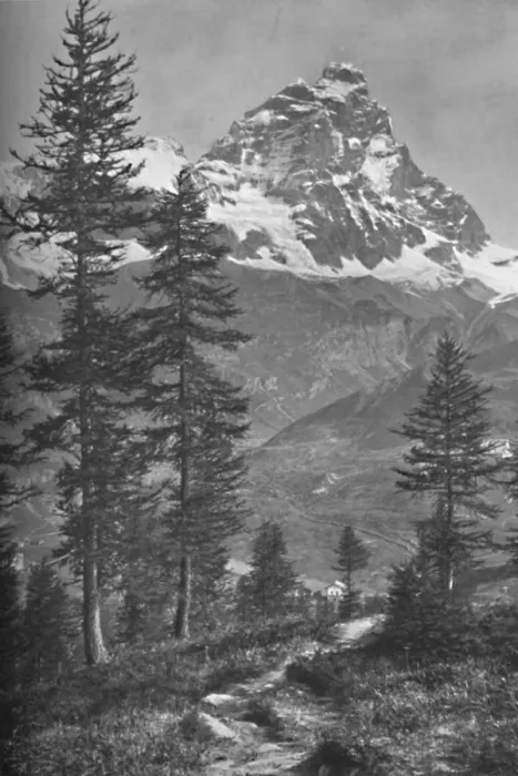 Framed Print : The Matterhorn From the Italian Side, Forest of Brueil, 1917. Artist: Donald McLeish Framed Print : The Matterhorn From the Italian Side, Forest of Brueil, 1917. Artist: Donald McLeish