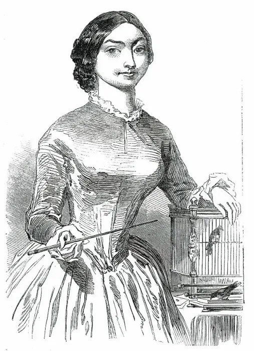 Framed Print : Mdelle. Emilie Vandermeersch, 1850. Creator: Unknown Framed Print : Mdelle. Emilie Vandermeersch, 1850. Creator: Unknown