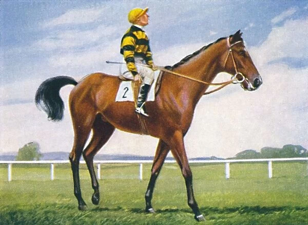 Meadow, Jockey: T. Weston, 1939