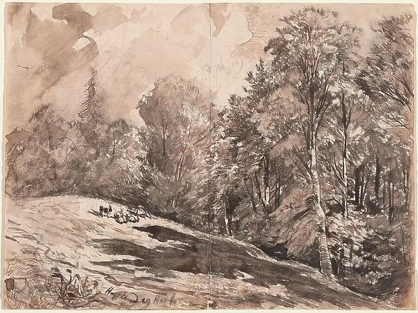 A Meadow with a Shepherd and Goats at the Edge of a Forest, 1861. Creator: Carl Wagner