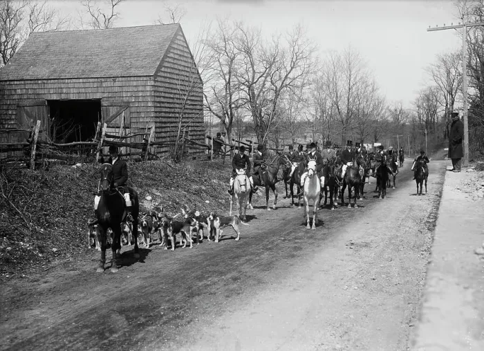 Framed Print : Meadowbrook Hunt, 1912. Creator: Bain News Service Framed Print : Meadowbrook Hunt, 1912. Creator: Bain News Service