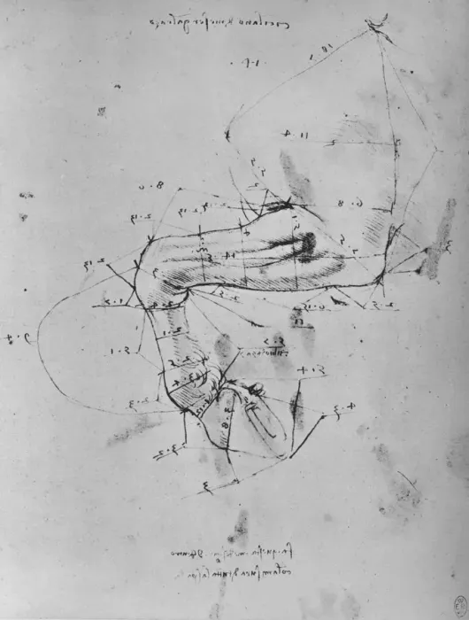 Framed Print : Measured Drawing of the Near Fore-Leg of a Horse, c1480 (1945). Artist: Leonardo da Vinci Framed Print : Measured Drawing of the Near Fore-Leg of a Horse, c1480 (1945). Artist: Leonardo da Vinci