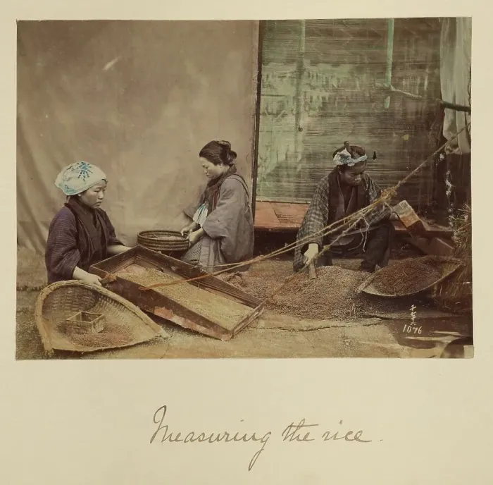 Framed Print : Measuring the Rice, about 1873-1883. Creator: Shinichi Suzuki I