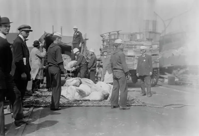 Framed Print : Meat for NEW YORK, between c1910 and c1915. Creator: Bain News Service Framed Print : Meat for NEW YORK, between c1910 and c1915. Creator: Bain News Service