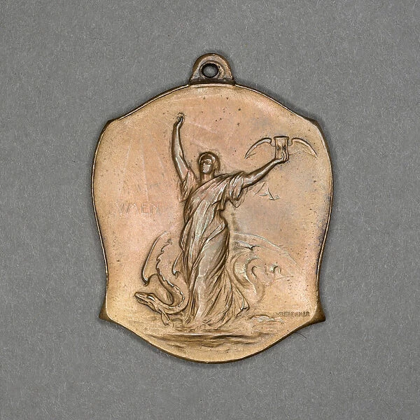 Medal commemorating the International Congress on Tuberculosis, Washington D. C. 1908