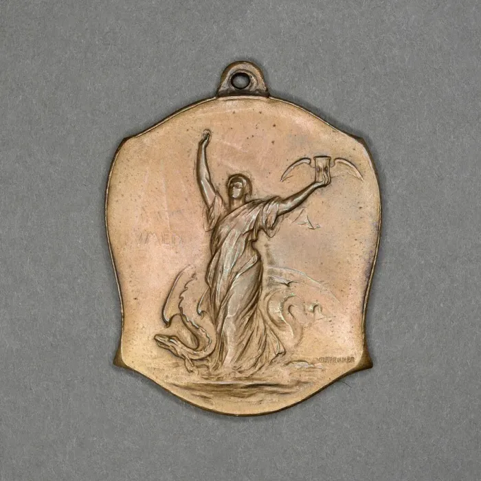Framed Print : Medal commemorating the International Congress on Tuberculosis, Washington D. C. 1908