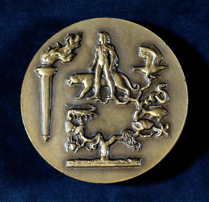 Framed Print : Medal commemorating Jean Baptiste de Monet, Chevalier de Lamarck, French biologist, 20th century Framed Print : Medal commemorating Jean Baptiste de Monet, Chevalier de Lamarck, French biologist, 20th century
