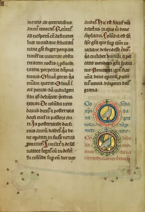 Framed Print : Two Medallions with Doves; De Natura Avium; De Pastoribus et Ovibus, 1277 or after. Creator: Unknown Framed Print : Two Medallions with Doves; De Natura Avium; De Pastoribus et Ovibus, 1277 or after. Creator: Unknown