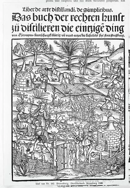 Medicinarius. Das buch der Gesundheit. Liber de arte distillandi Simplicia et Composita, 1505. Creator: Johann Gruninger