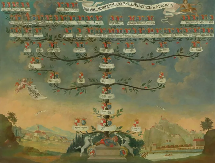 Framed Print : Mednyanszky Family Tree, 1744. Creator: Unknown Framed Print : Mednyanszky Family Tree, 1744. Creator: Unknown