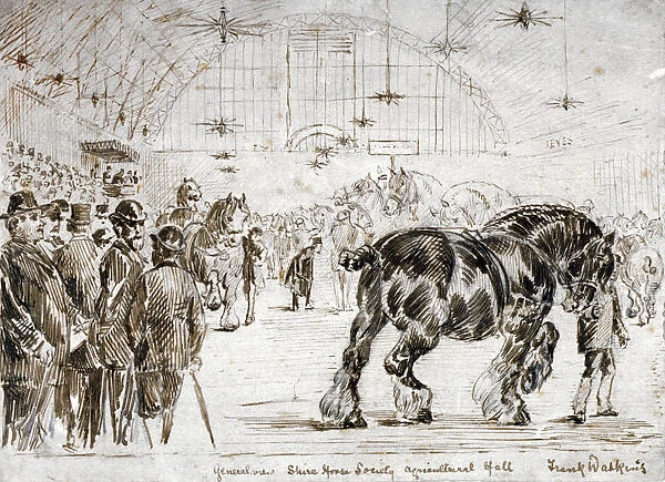 Meeting of the Shire Horse Society in Islingtons Agricultural Hall, London, c1875